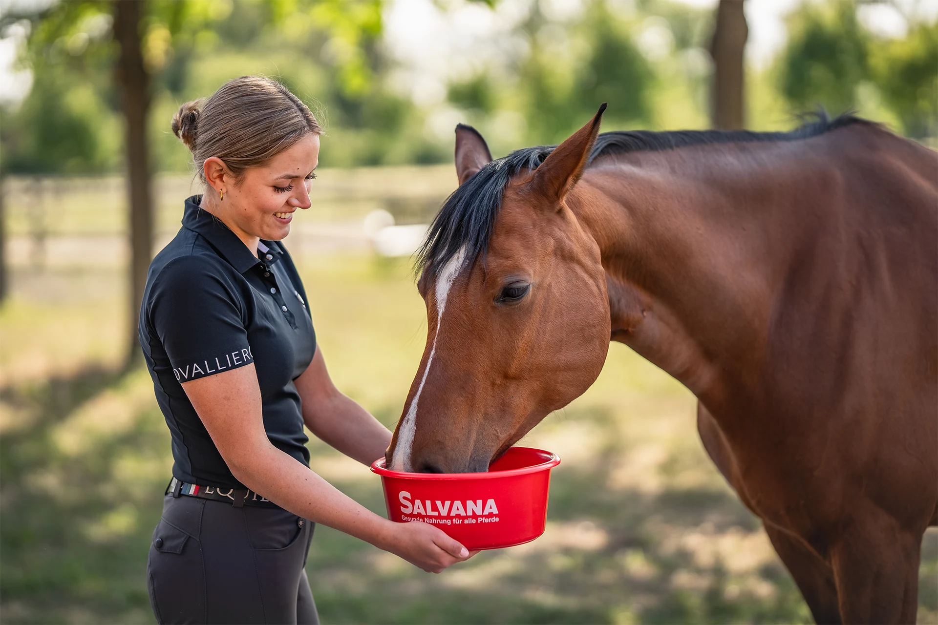 Pferd frisst aus SALANA Futterschüssel