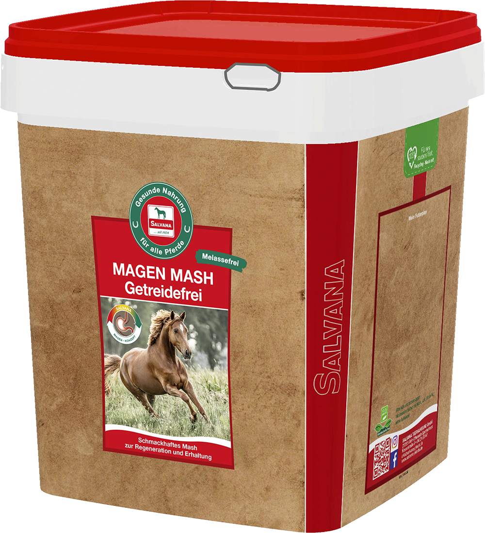 magen-mash-fuer-pferde