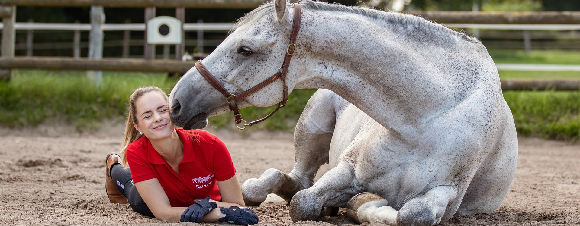 Zusatzfutter-Pferd-und-Reiter-Sand
