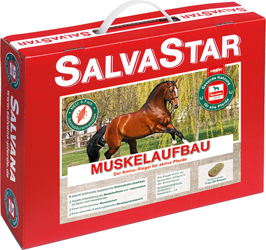 Was es beim Kauf die Salvana pferdefutter zu bewerten gibt!
