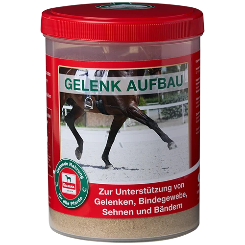 salvana-gelenk-aufbau-zusatzfutter-pferd-bewegungsfunktion-arthrose-sehnenschaden
