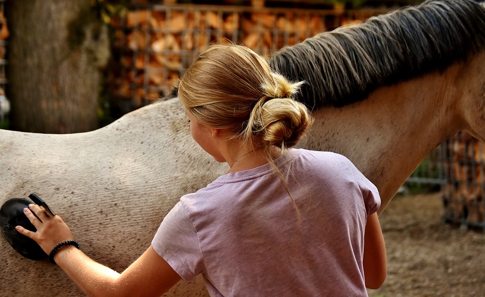 Histidin und Zinkversorgung beim Pferd